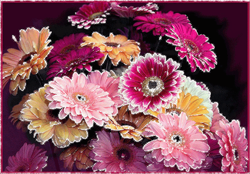 Bukiet jasnych gerberów